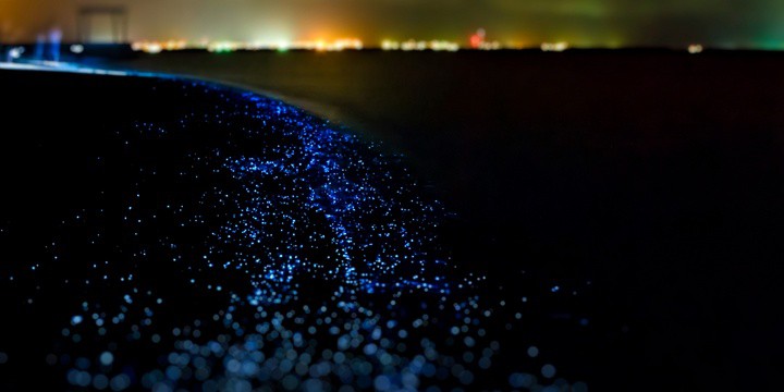 Glowing Beaches